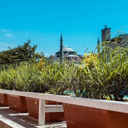 Sude