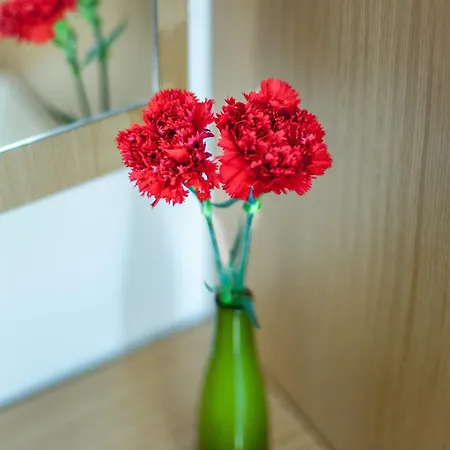 Hotel Sude Istanbulská provincie