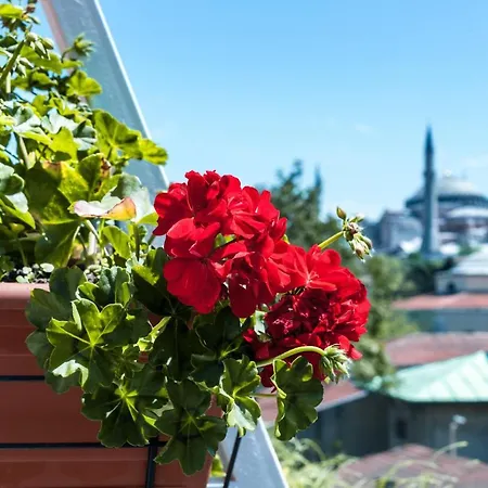 Szálloda Sude Isztambul